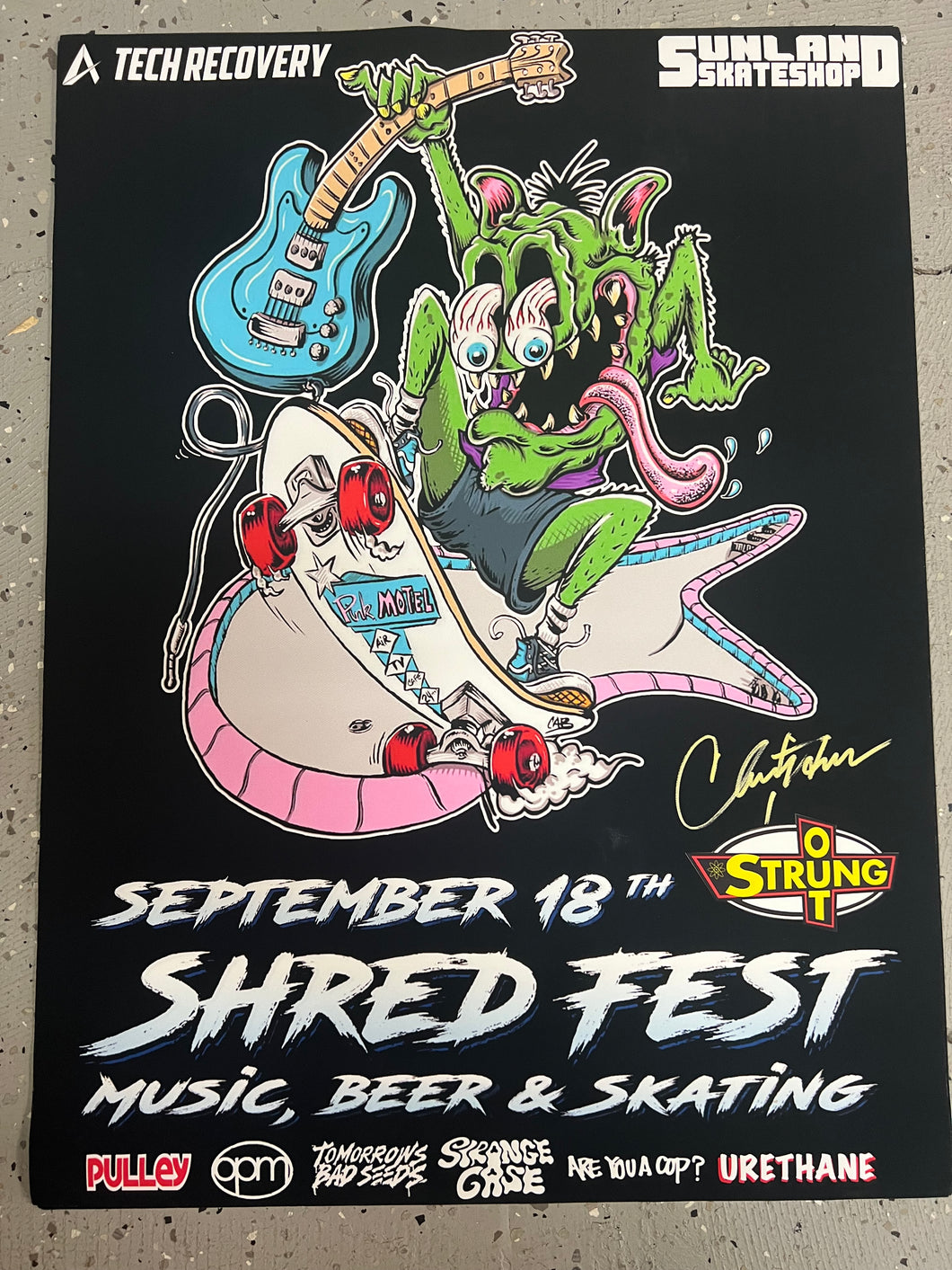Hosoi autograph Shred Fest Steve Caballero Art Canvas 18x24 (Limited Edition)
